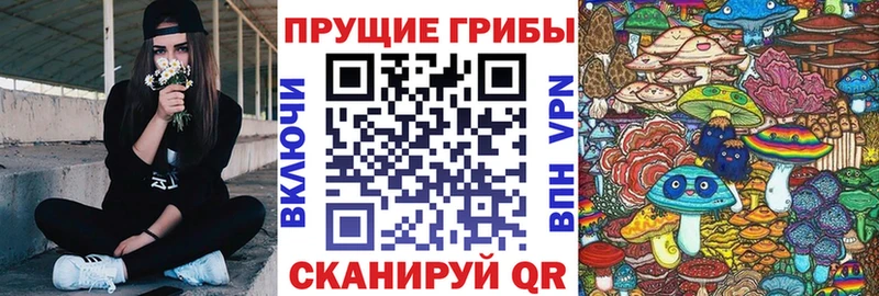 где найти   Кодинск  сайты даркнета какой сайт  Галлюциногенные грибы Psilocybe 